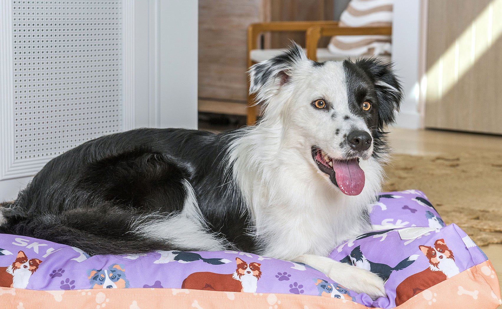 Neutral dog outlet bed