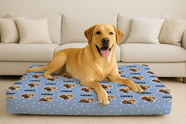 All Over Face Bed - Fuzzhous