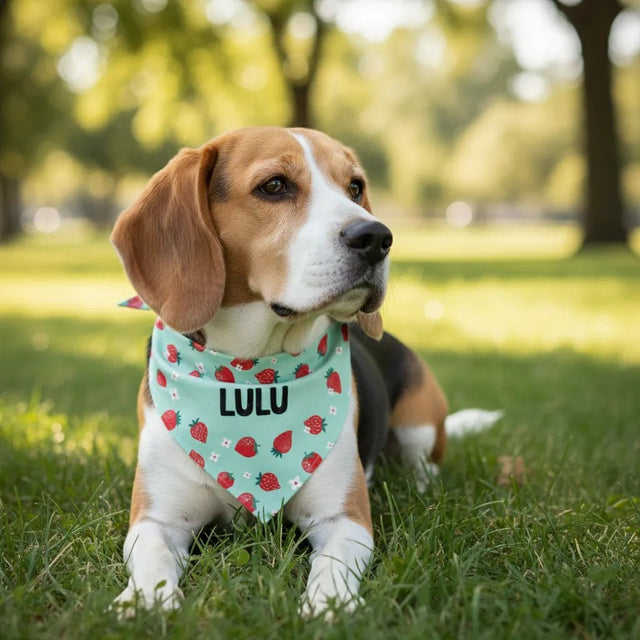 Custom Name - Pet Bandana - Fuzzhous