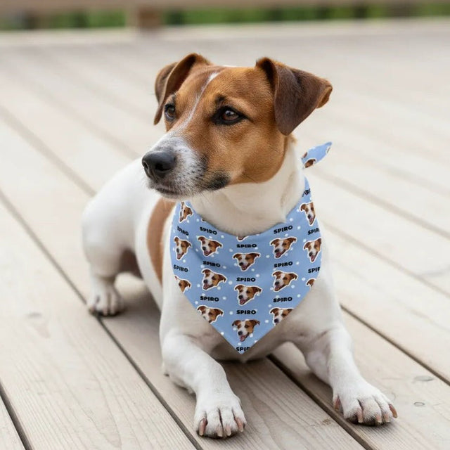 Pet Bandana - Fuzzhous