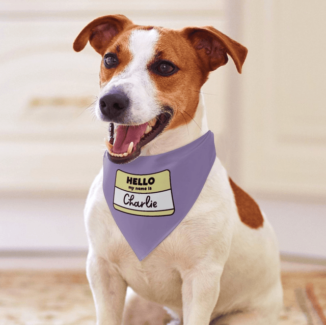Hello Name Sign - Custom Pet Bandana - Fuzzhous
