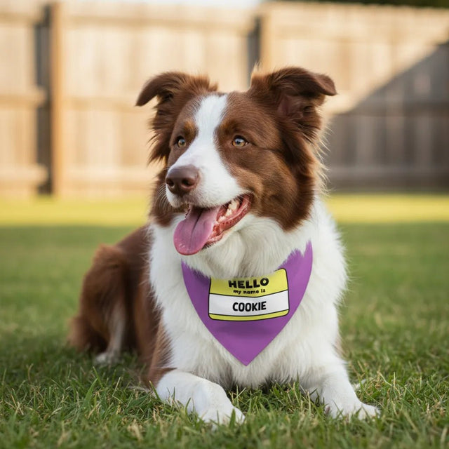 Hello Name Sign - Custom Pet Bandana - Fuzzhous