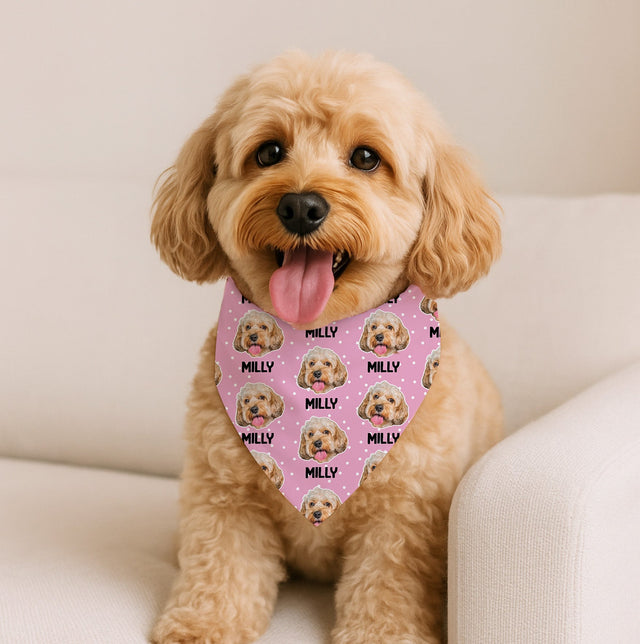 Pet Bandana Collar - Fuzzhous